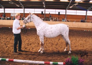 Bonnie Bundeszuchtsschau 2004