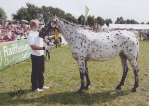 Prestige Tarmstedt 2007