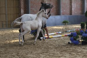 IMG_0790-1