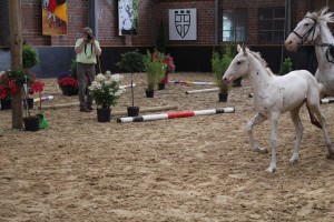 IMG_0448-1