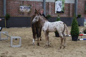 IMG_4308-1