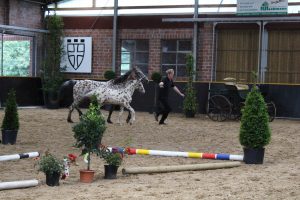 IMG_4465-1