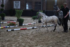 IMG_0673-1
