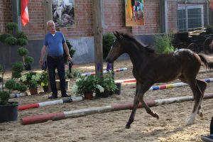 IMG_7752-1-1